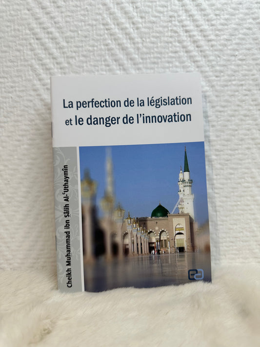 LA PERFECTION DE LA LÉGISLATION ET LE DANGER DE L'INNOVATION